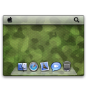 Camouflage Icon